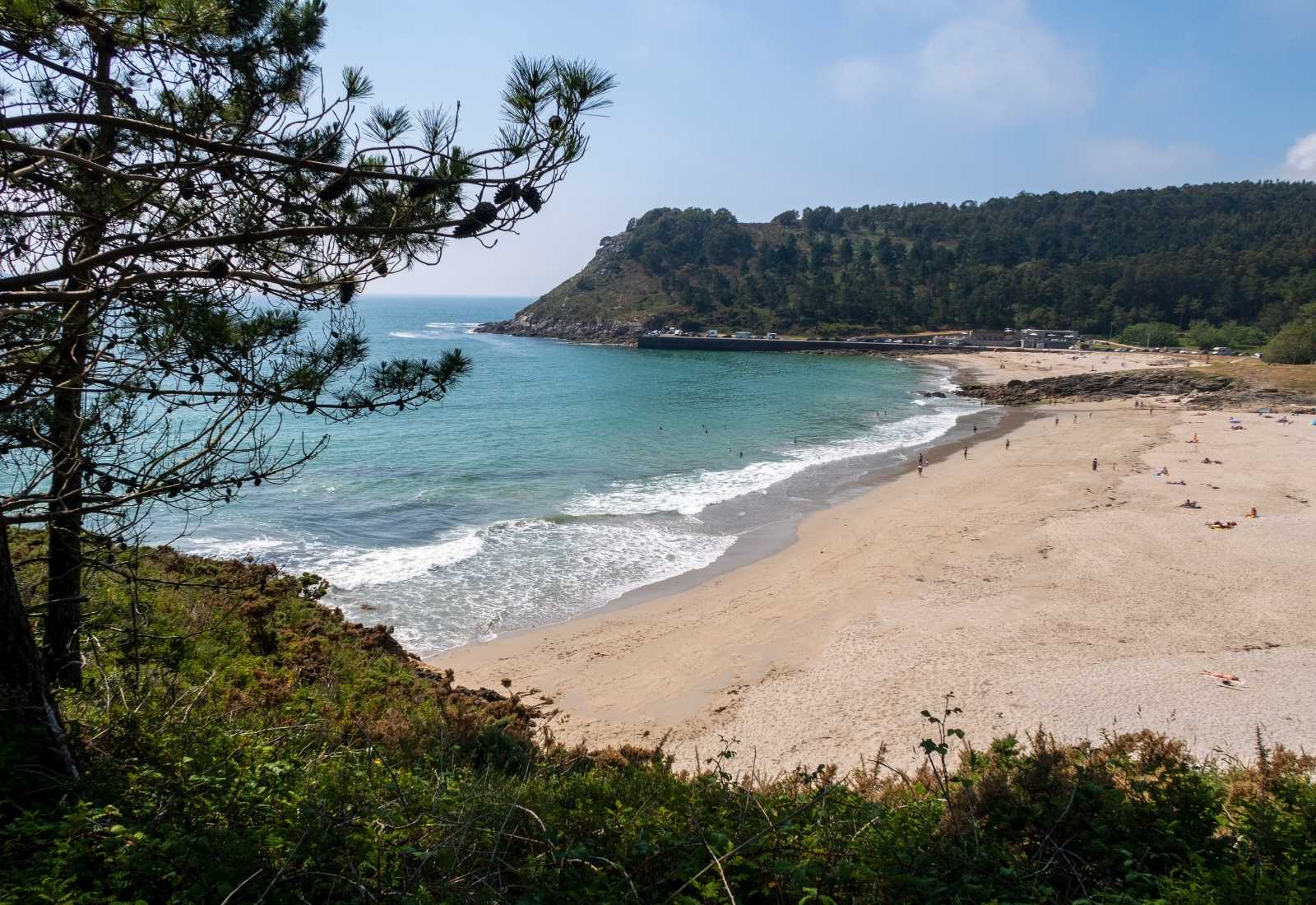 Plage de sable doré et mer turquoise près d'un cap boisé sur l'étape de Playa de Niñóns à Ponteceso du Camiño dos Faros