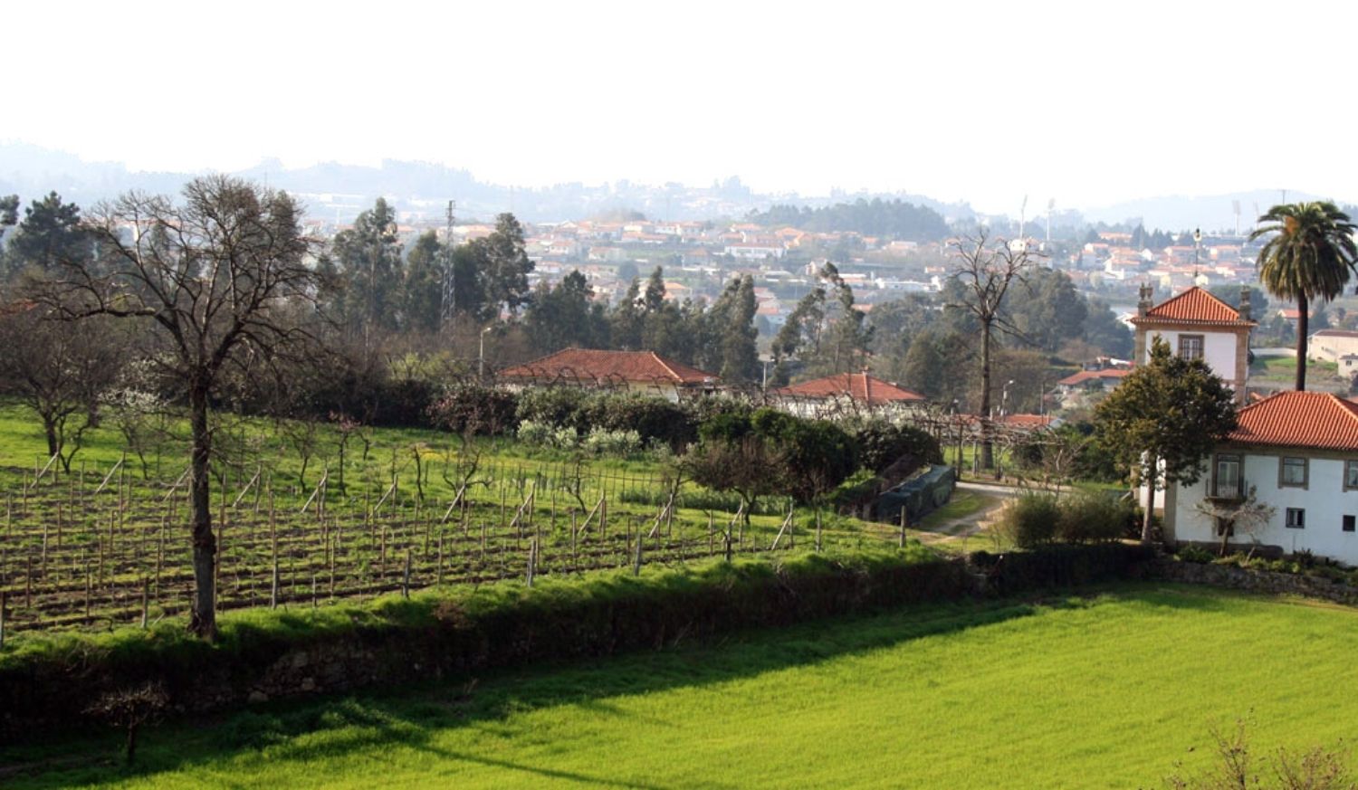 Pueblo vilarinho camino portugues